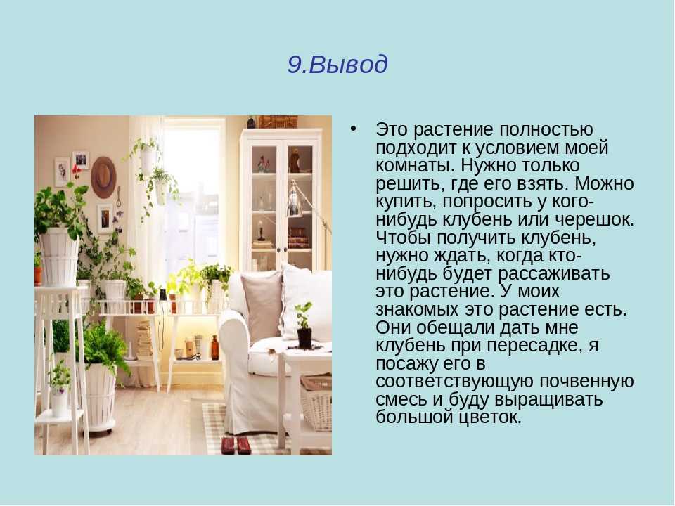 Растения в интерьере 6 класс. Вывод о комнатных растениях в интерьере. Растение в интерьере жилого дома исследование. Проект на тему растения в интерьере жилого дома. Проект растения в интерьере жёлтого дома.