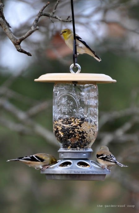 Mason Jar Feeders - 23 DIY Birdfeeders That Will Fill Your Garden With Birds