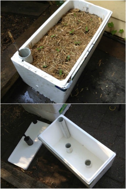 Cheap And Easy Self Watering Foam Box