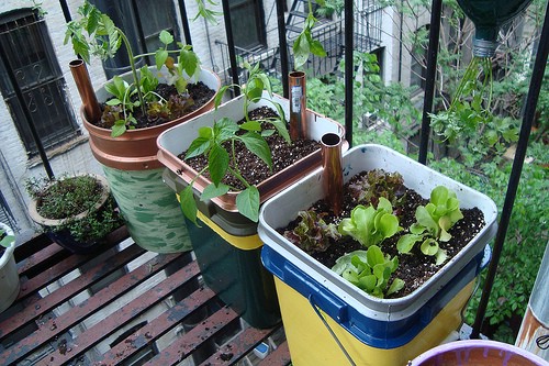 Easy Large Self Watering Containers