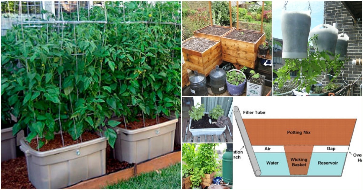 15 DIY Self Watering Planters That Make Container Gardening Easy
