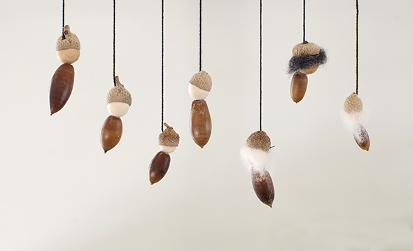 Acorn mobile