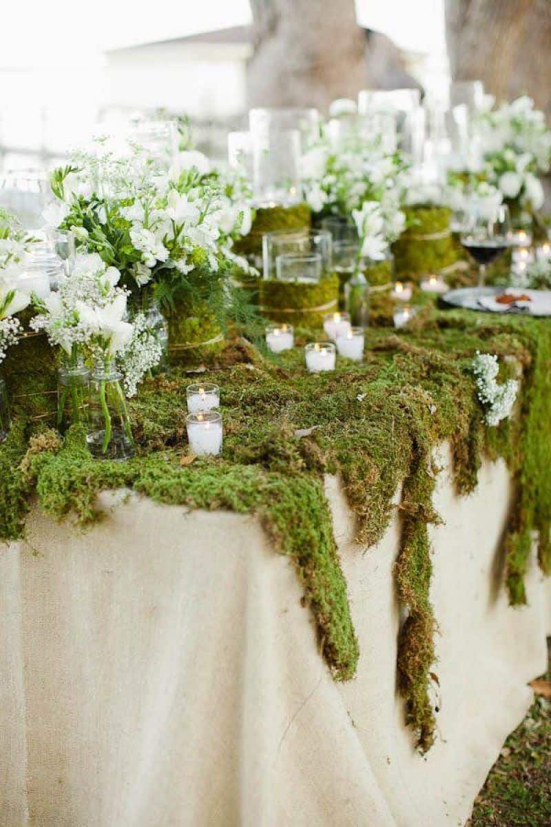 Moss-covered table
