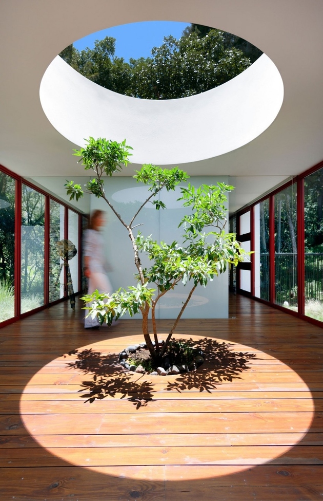 3a-homes-built-existing-trees-10-creative-examples.jpg