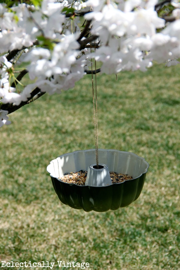 bundt pan bird feeder
