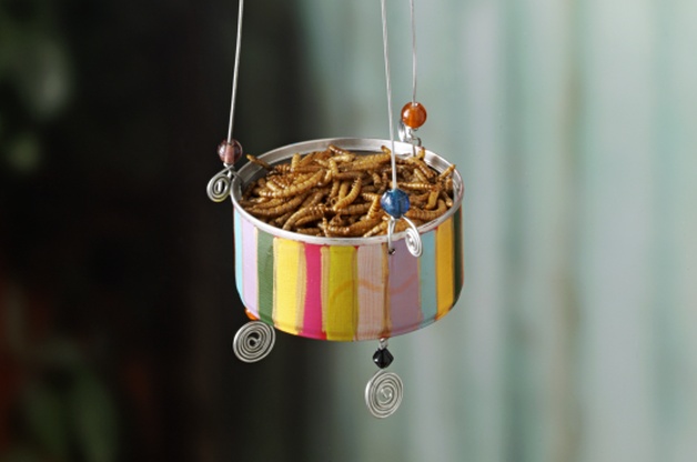 tuna can bird feeder