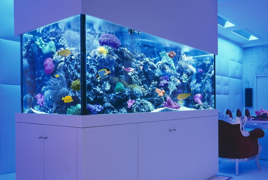 Встроенный аквариум в морском стиле