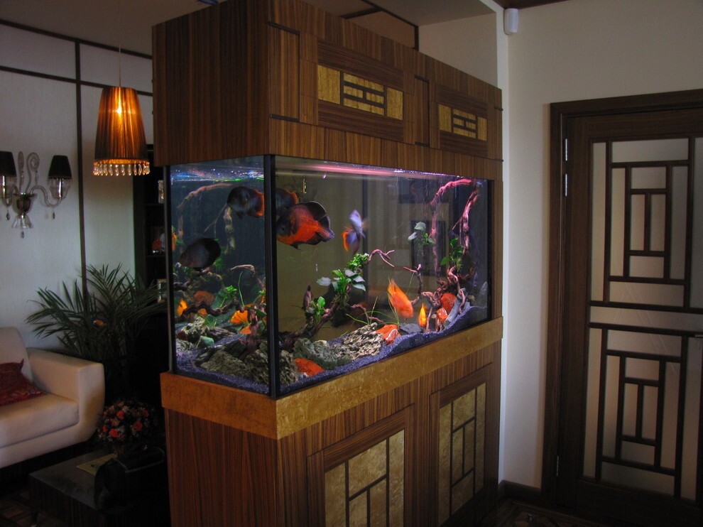 Аквариум в японском стиле с живыми рыбами