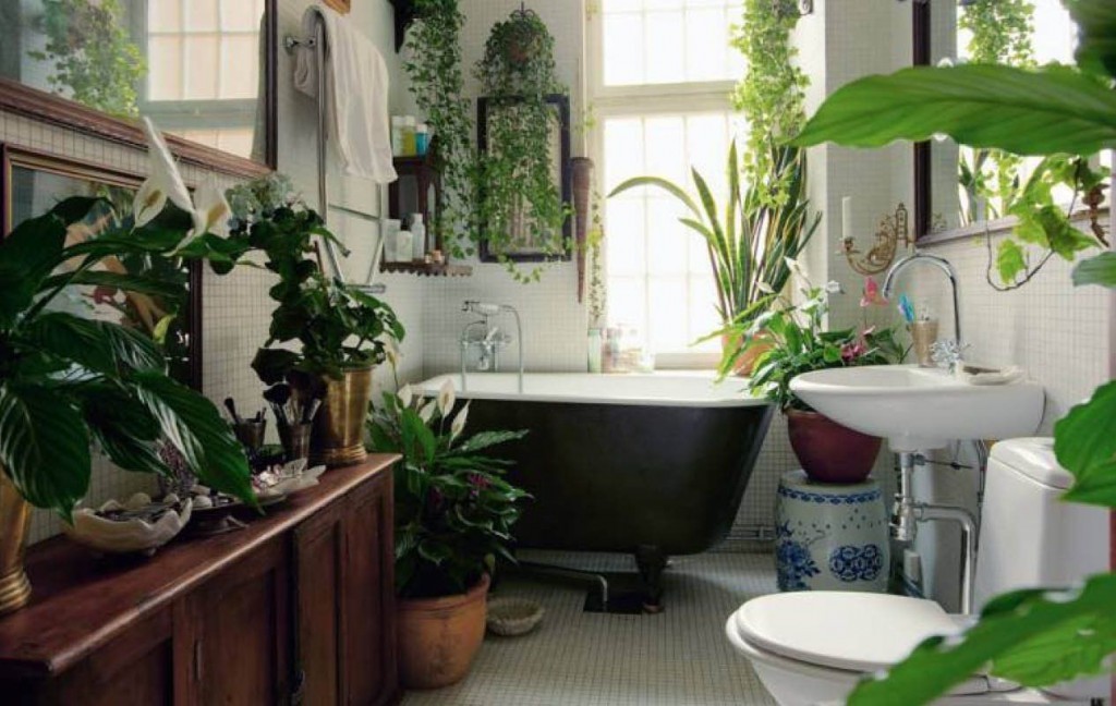 Декор растениями ванной комнате в доме