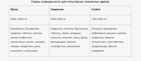 Нормы освещенности для нормального развития растений Нормы освещенности для нормального развития растений