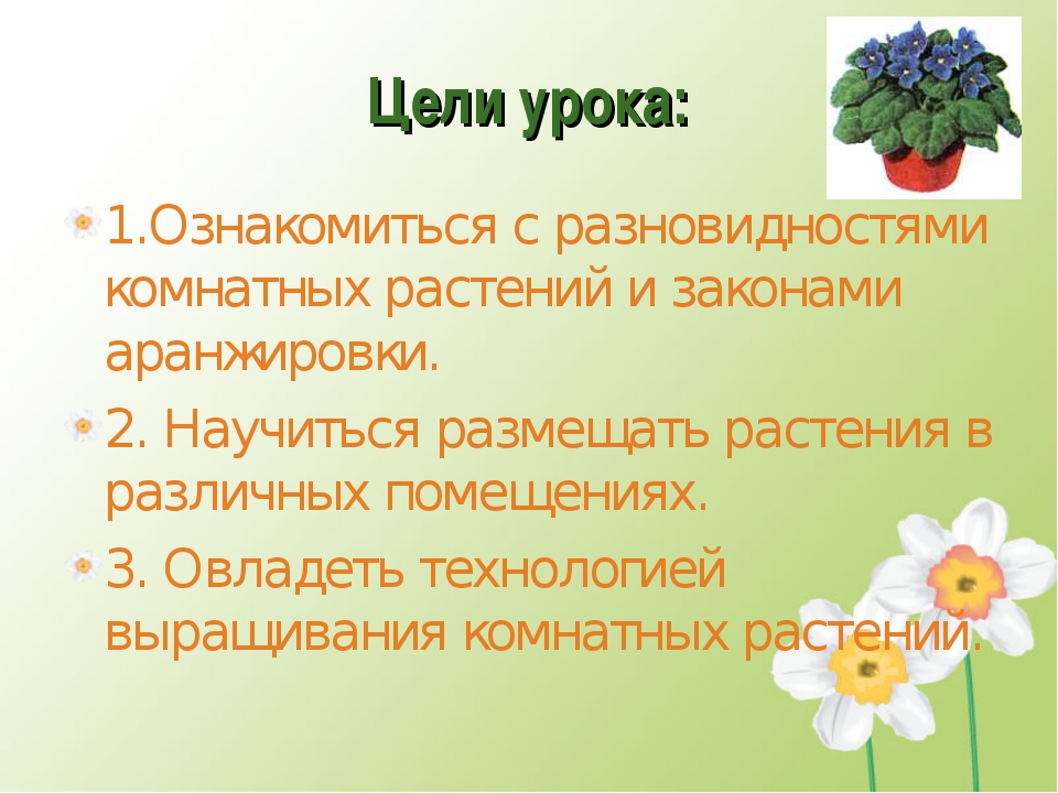 Проект на тему комнатные растения 6 класс по технологии