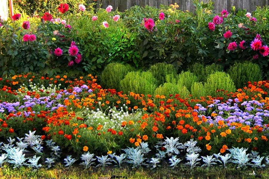 Секрет цветущего растения - качественная почва. Узнайте, как ее подготовить