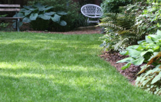 Tall fescue will grow well with as little as 5 hours of sunlight per day.