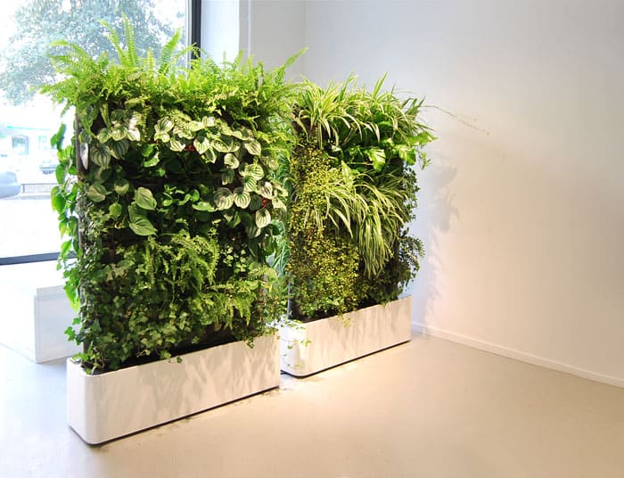 Стена или стеллаж создаются из набора растений, отличающихся оттенком, формой листьев