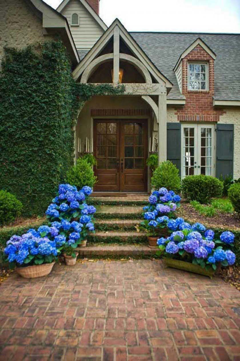 Цветы перед домом: Как красиво посадить цветы в палисаднике перед домом .