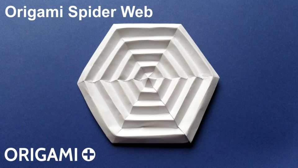 Spider Web