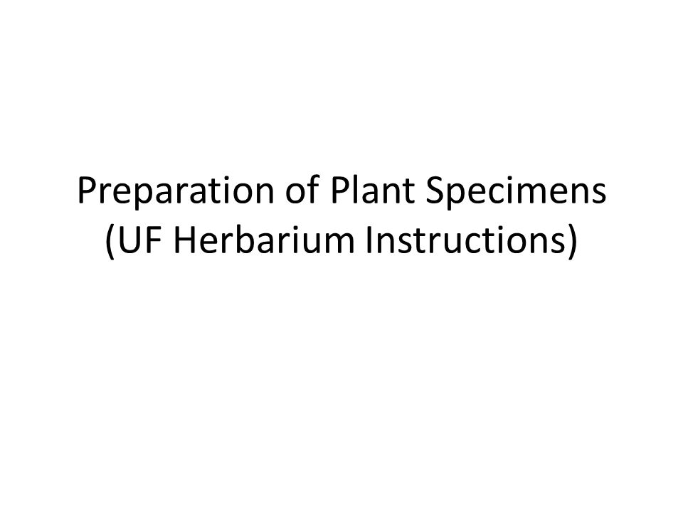 Preparation of Plant Specimens (UF Herbarium Instructions)