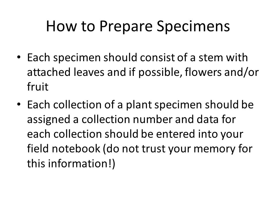 How to Prepare Specimens Each specimen should consist of a stem with attached leaves and if possible, flowers and/or fruit Each collection of a plant specimen should be assigned a collection number and data for each collection should be entered into your field notebook (do not trust your memory for this information!)