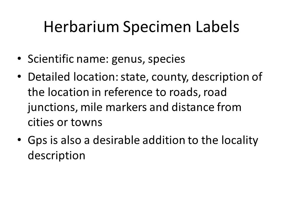 Herbarium Specimen Labels Scientific name: genus, species Detailed location: state, county, description of the location in reference to roads, road junctions, mile markers and distance from cities or towns Gps is also a desirable addition to the locality description
