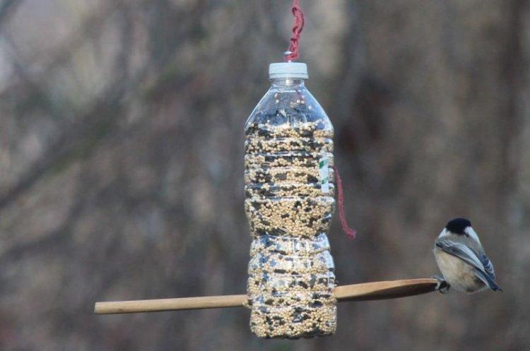 Бункерная кормушка для птиц из бутылки своими руками