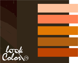 сочетание темно-коричневого с оранжевым