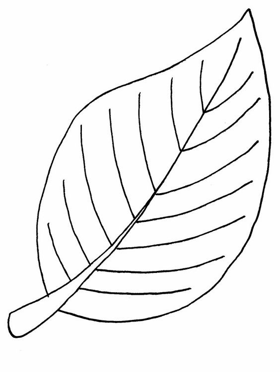 Шаблоны листьев для вырезания из бумаги для детей
