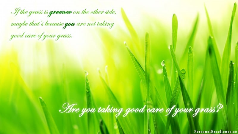 [How Green is Your Grass?] Wallpaper: “If the grass is greener on the other side, maybe that’s because you’re not taking good care of your grass.”