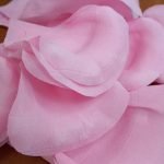 Таким образом делаем остальные лепестки
