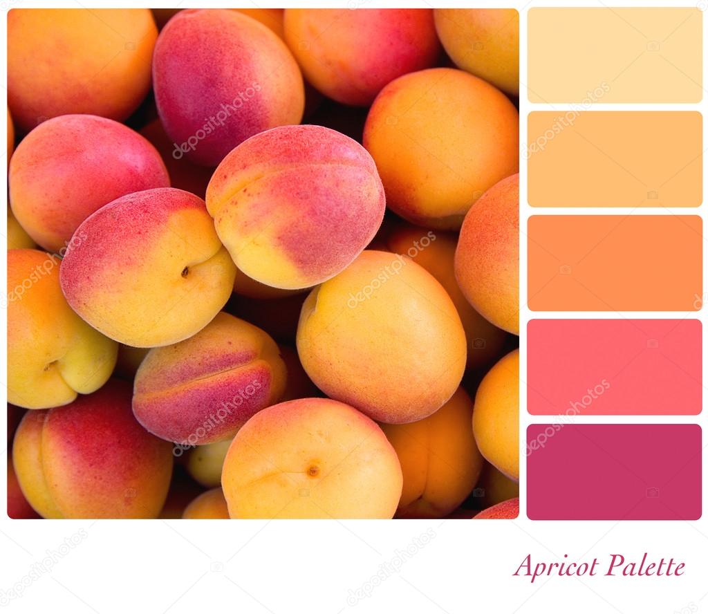 Ярко персиковый цвет: Персиковый цвет в интерьере: сочетание с другими .