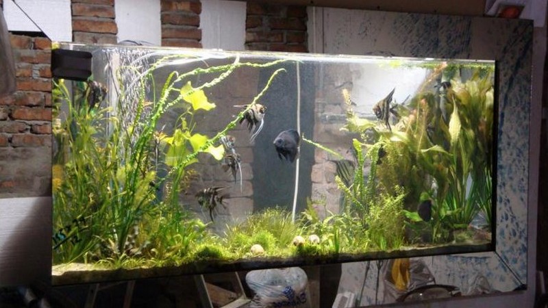 Встраиваемый аквариум фото