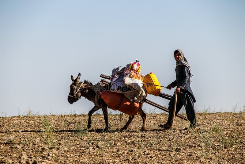 Afghanistan village elder working his plot of land stock photography