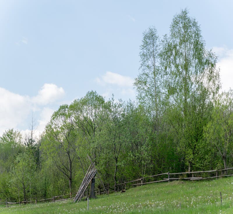 Rural private plot in may. Fenced private plot in Ukrainian village. Wooden fence. Dry poles are pinned to a tree - villagers use them as a basis for haystacks stock photography