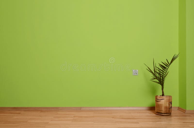 Interior room with wooden floor, plant and wall in green with an electrical contact in the wall and wooden skirting. Interior room with wooden floor and wall in stock photography