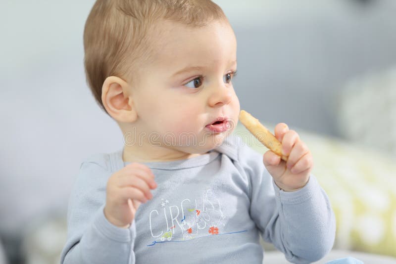 Portrait of cute baby boy eating biscuit royalty free stock photography