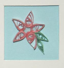 pointed-teardrop-flower-card (7K)