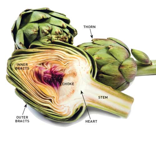 artichoke, handyman magazine, 