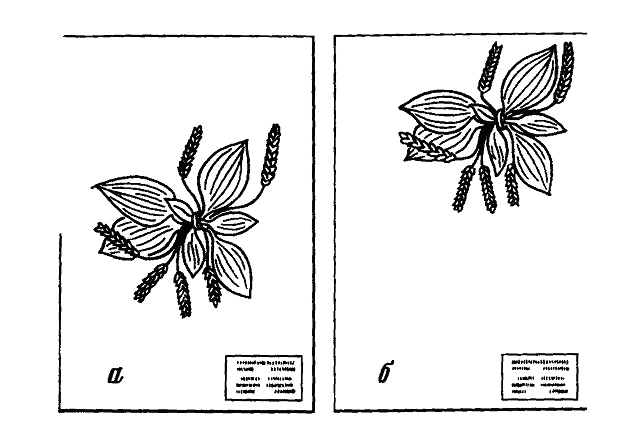 Неправильное и правильное размещение образца на листе гербария