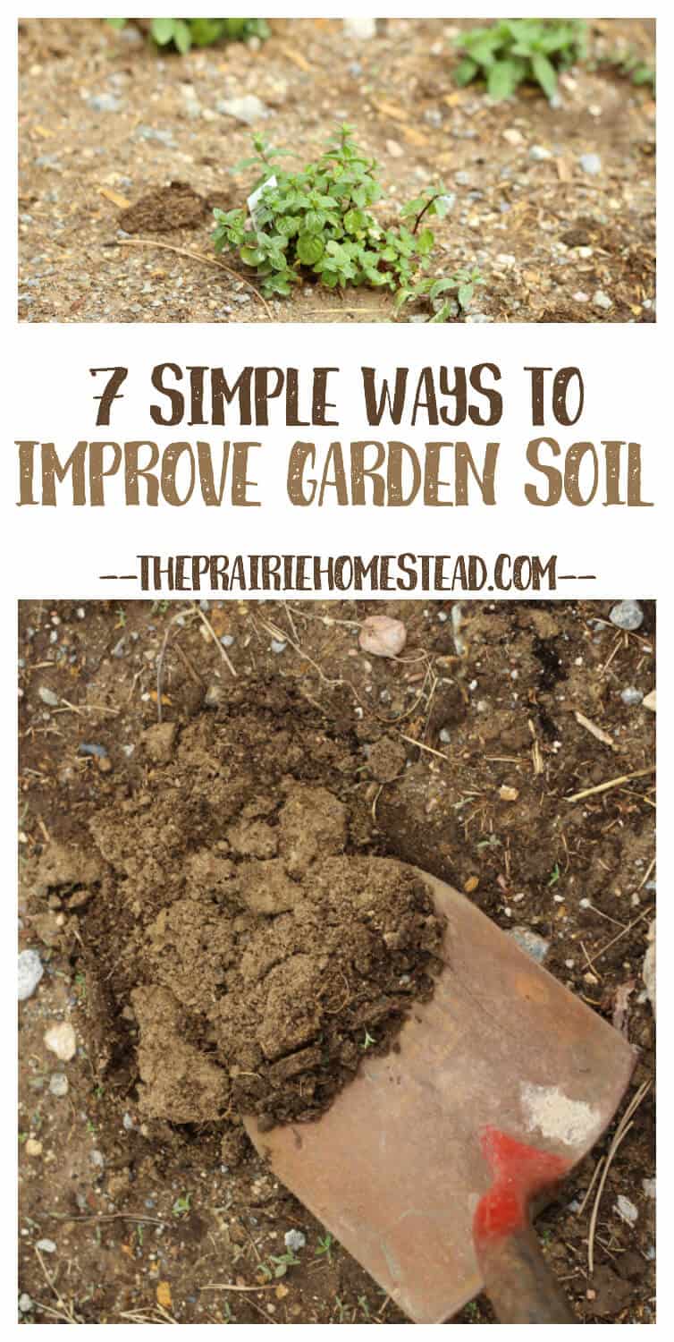 natural ways to improve garden soil