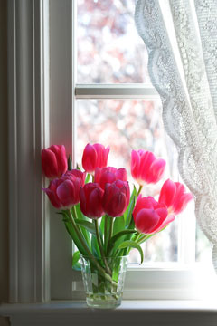 lace curtain and red tulips