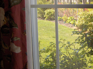 window curtain enhances garden view